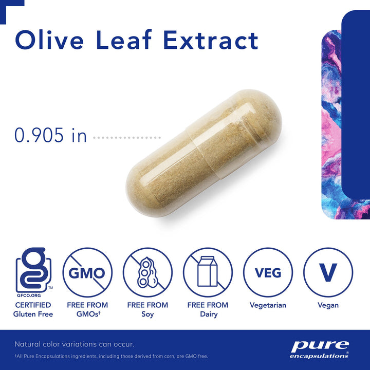 Olive Leaf 120's